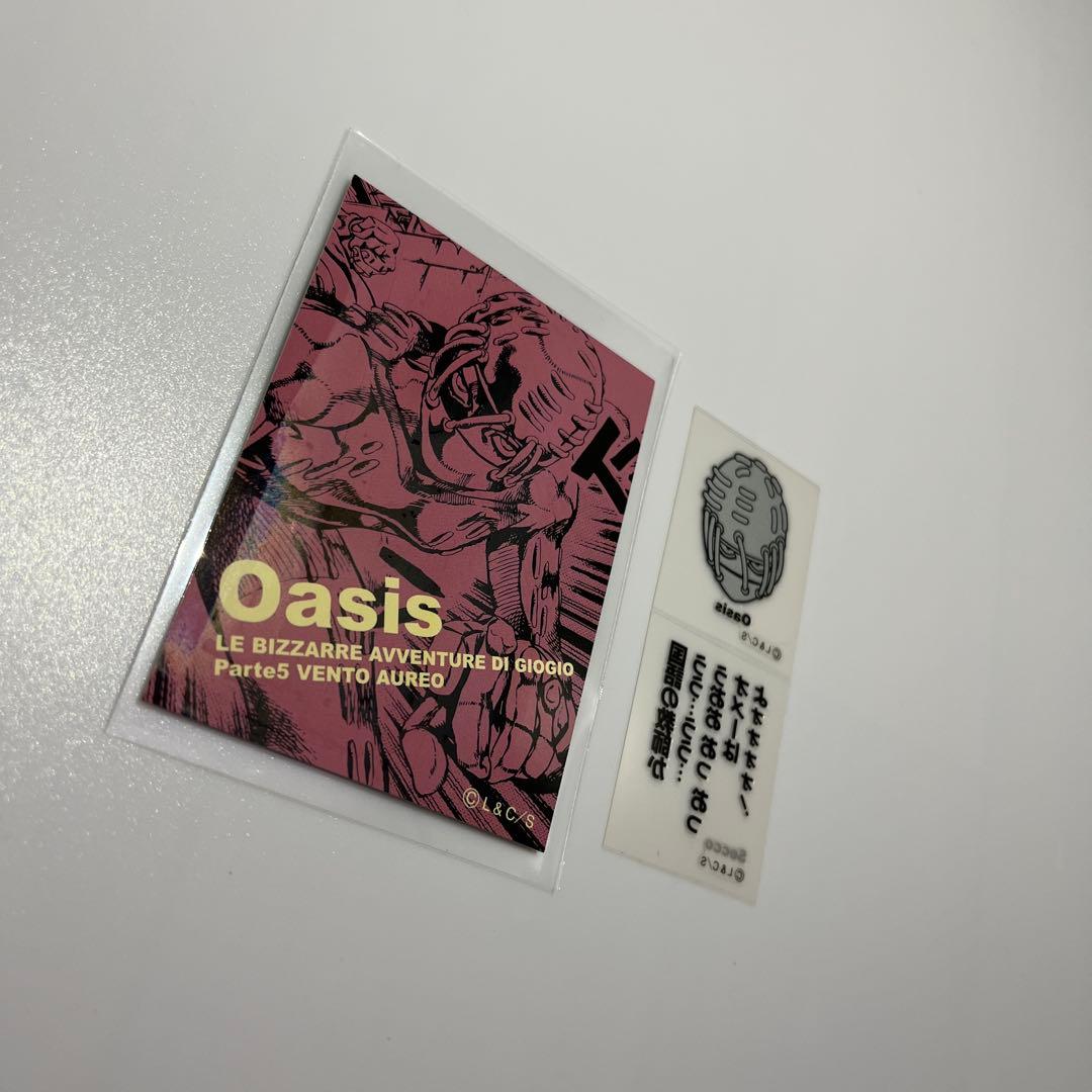 ジョジョの奇妙な冒険 リアルペイントシート リ セッコ オアシス