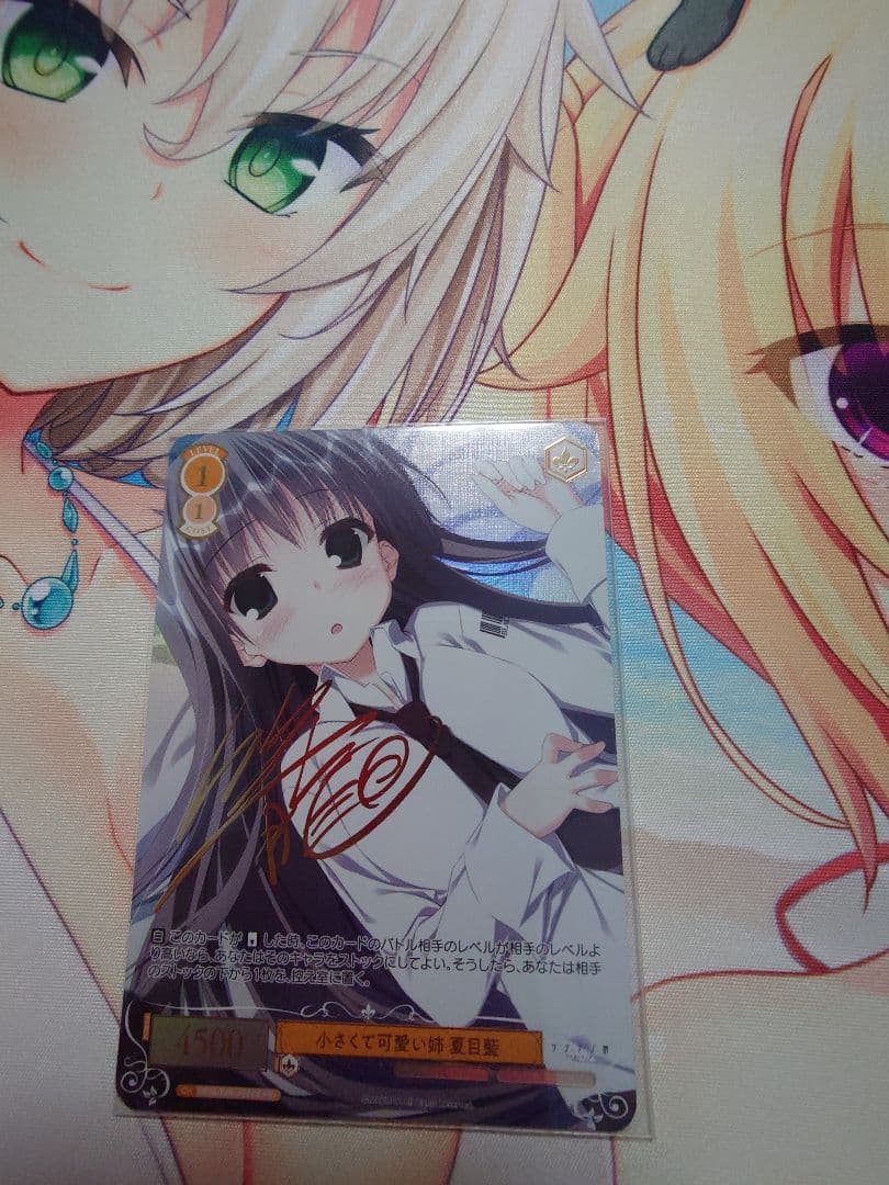 ヴァイスシュヴァルツロゼ 小さくて可愛い姉 夏目藍 PR+