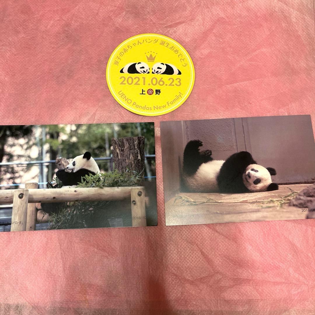 レア⭐︎非売品⭐︎上野動物園・パンダ・シャオシャオ・レイレイ