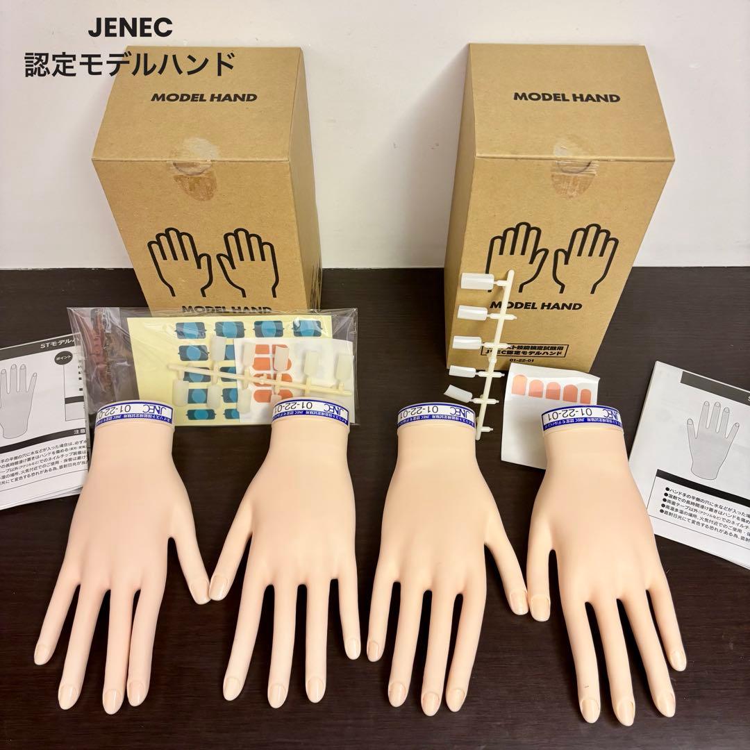 JENEC認定モデルハンド 2個セット ネイルアート練習用 検定用 チップ付き