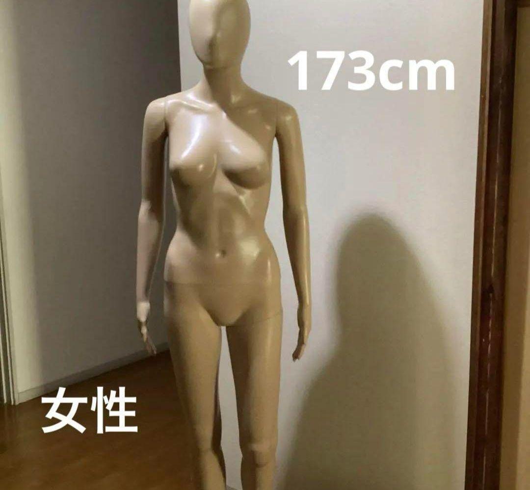 ダイセイ マネキン 女性 全身 173cm - メルカリ