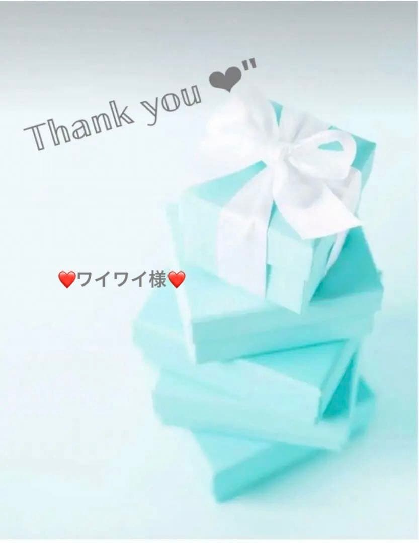 ❤️ワイワイ様❤️