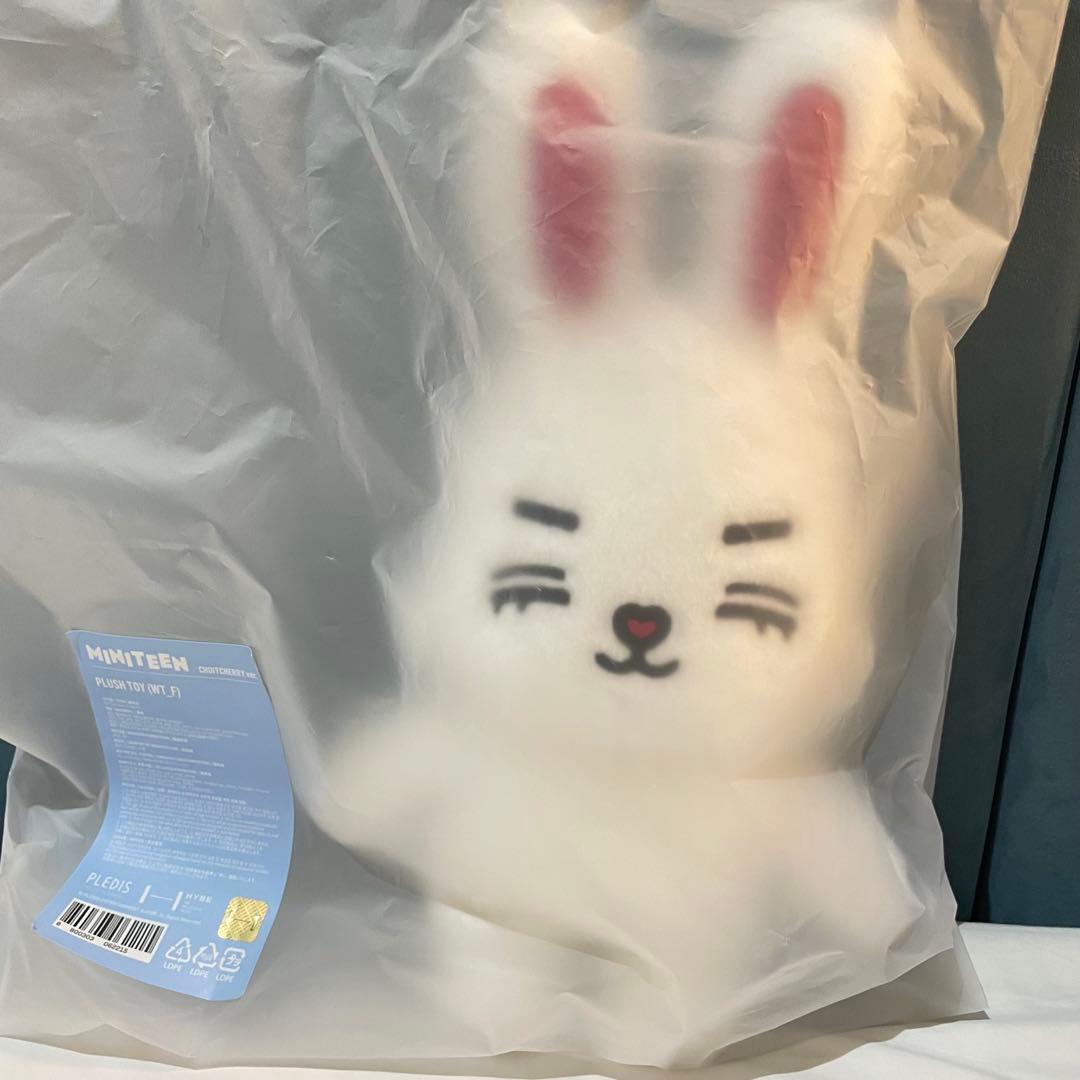 エスクプス SEVENTEEN ミニティーン ぬいぐるみ 20cmポップアップ