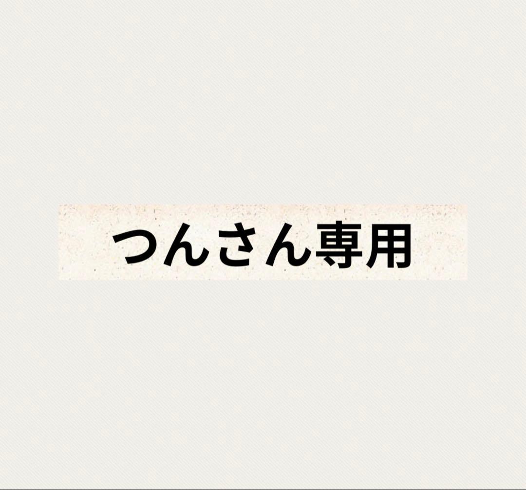 つんさん専用