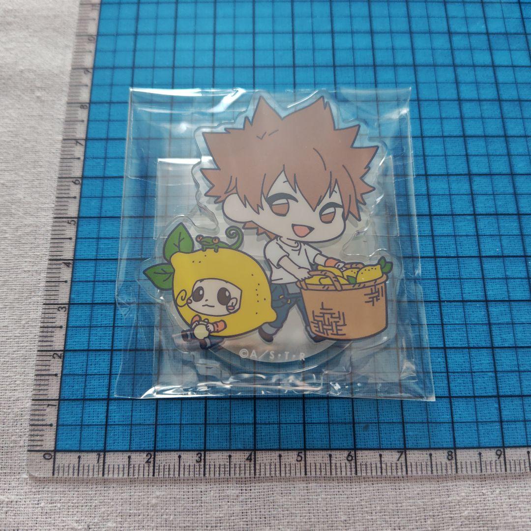 家庭教師ヒットマンREBORN！沢田 綱吉 アクスタ - メルカリ