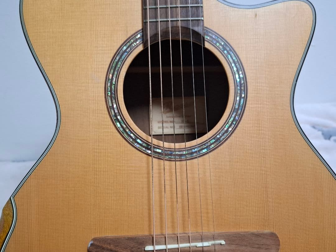 専用）アコースティックギター ROSSO R-5 IS18982909