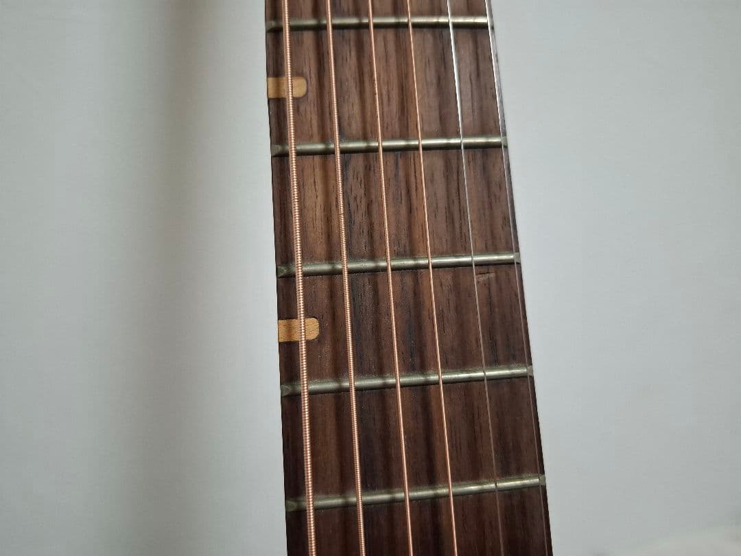 専用）アコースティックギター ROSSO R-5 IS18982909