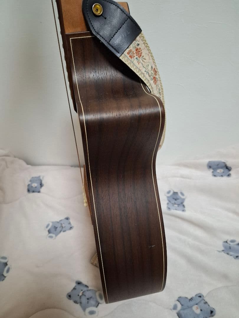 専用）アコースティックギター ROSSO R-5 IS18982909