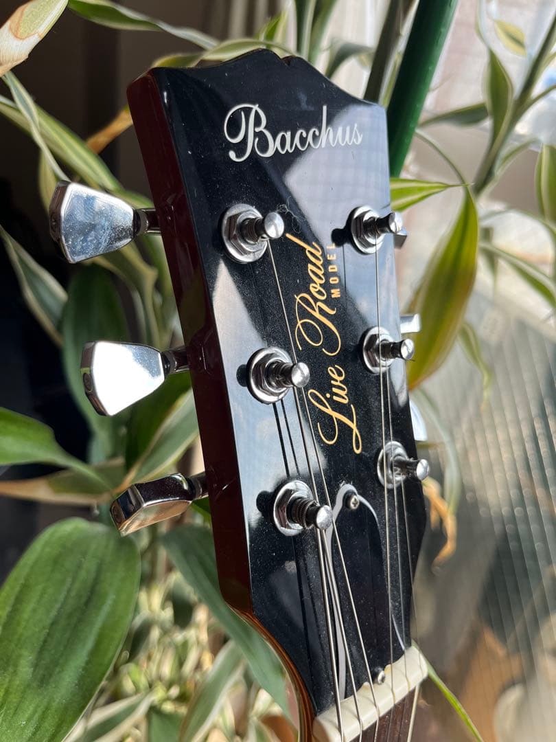 ☆超美品☆Bacchus/バッカス BLP-STD ZB/HB GT - メルカリ