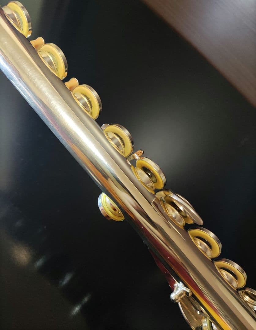 YAMAHA フルート YFL-221 廃盤 ケース バッグ 部活 サークル - メルカリ