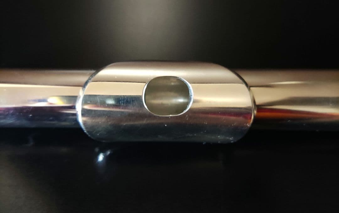 YAMAHA フルート YFL-221 廃盤 ケース バッグ 部活 サークル - メルカリ