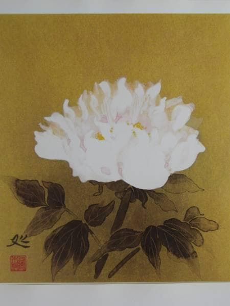 加山 又造、白牡丹、希少画集画、新品額装、状態良好 - メルカリ