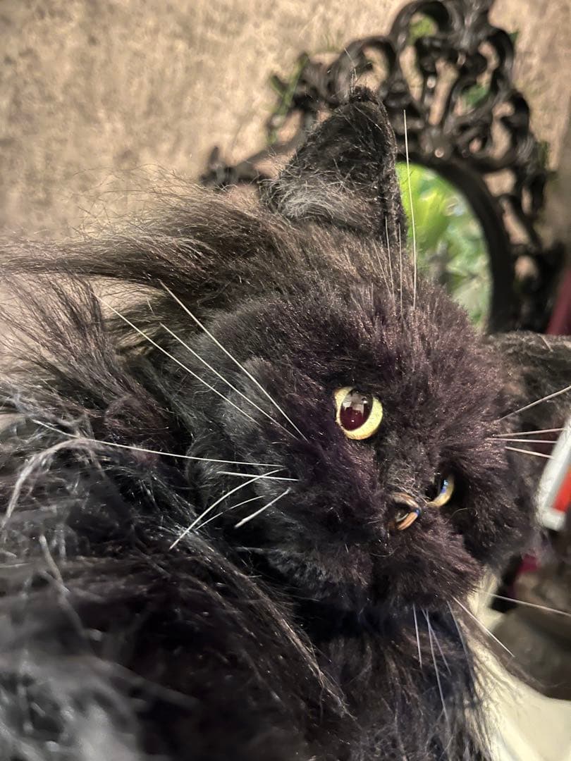 黒猫 ぬいぐるみ 等身大 リュック - メルカリ