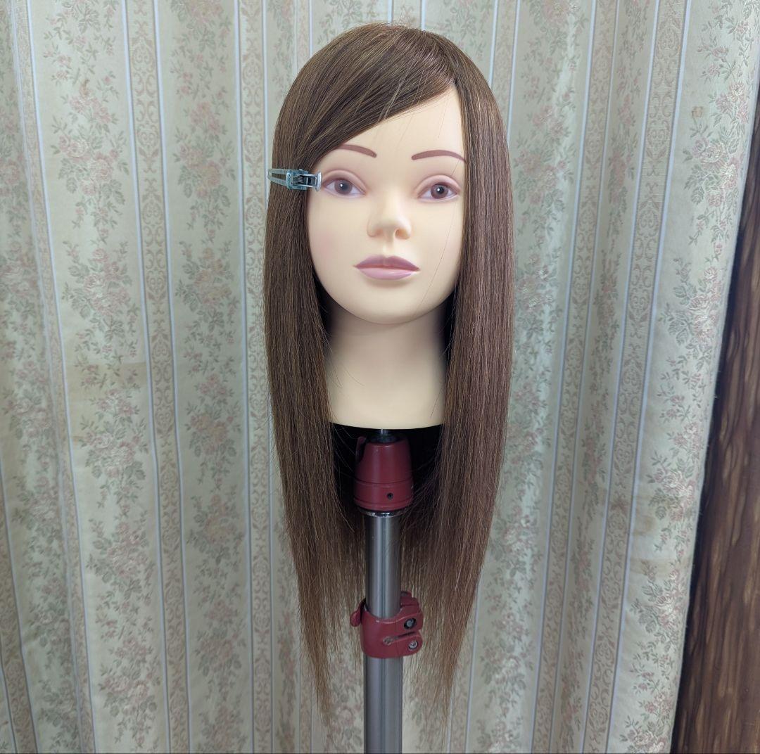 ✨️美品送料込✨️値下交渉可✨️M-10BR アップスタイル アレンジ ウィッグ 美容師 人毛100％ ヘアアレンジ セットアップウィッグ 茶髪 キタムラ