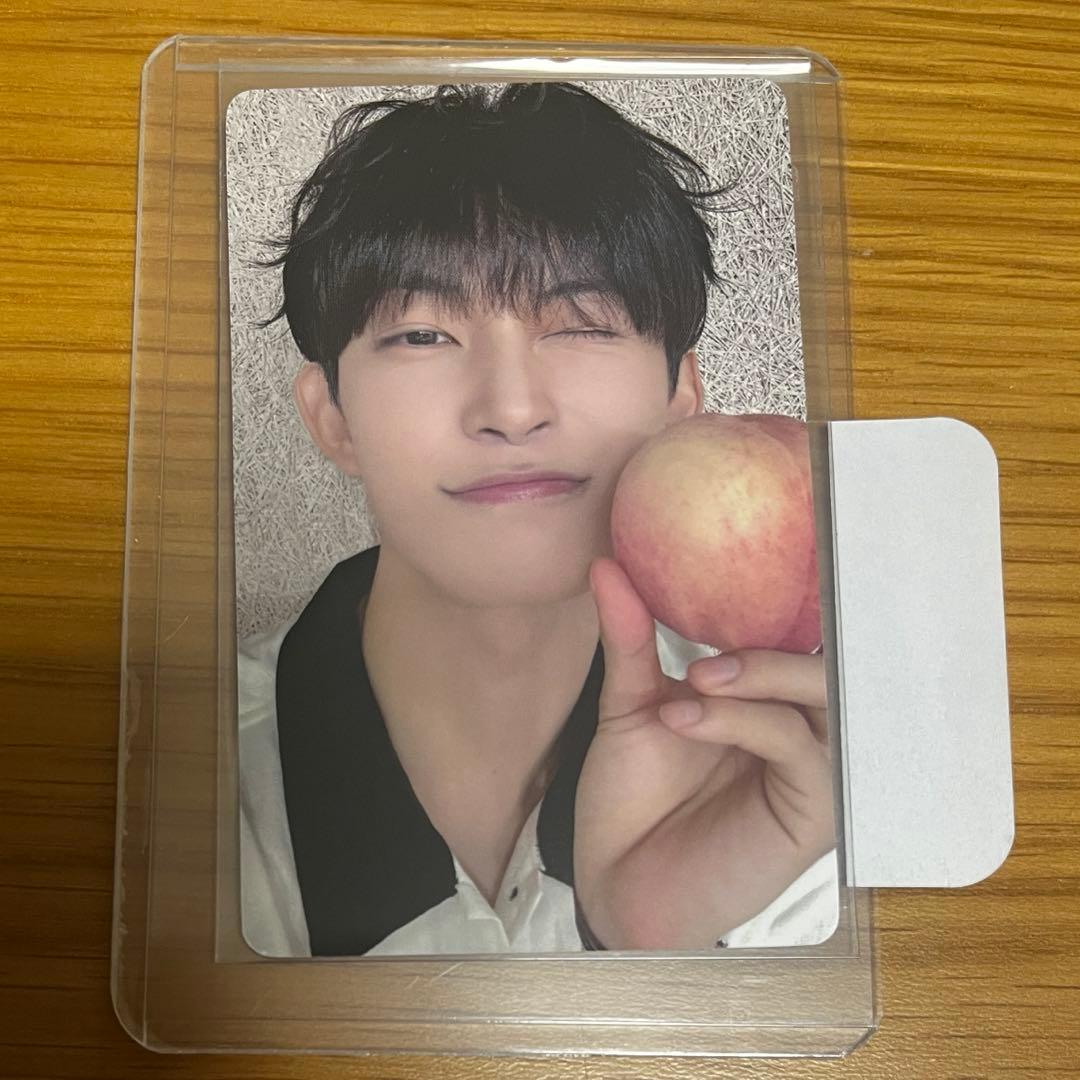 ald1 ゴヌ ボイプラ2 上海 アーカイブ展 トレカ week1 6番 - メルカリ