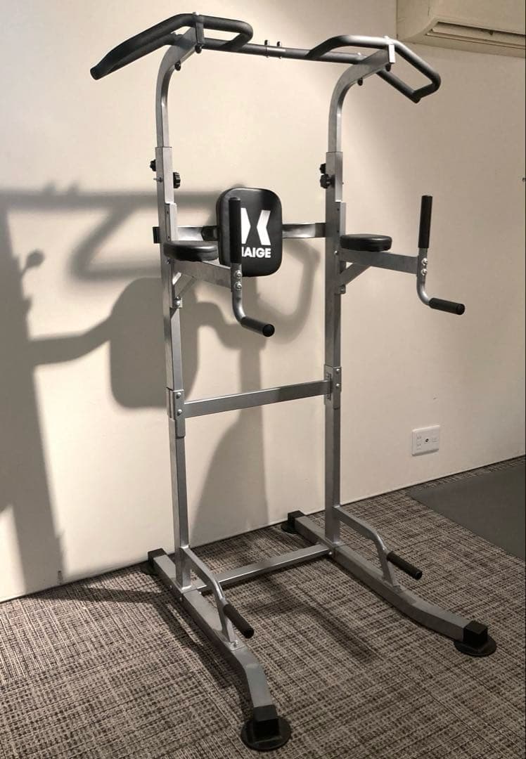 HAIGE 懸垂マシン HG-P1002
