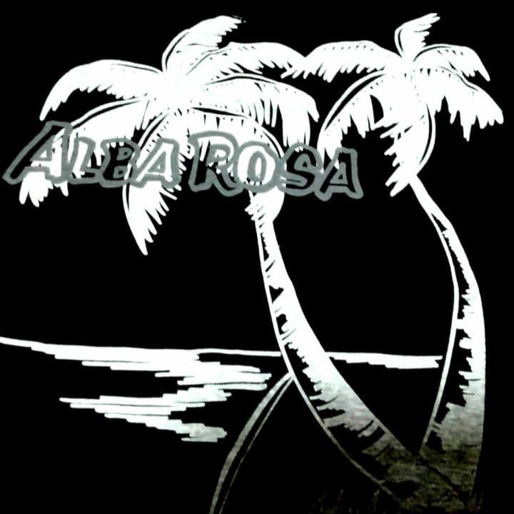 専用！！新品！！希少 ALBAROSA♥️ 升目 キャミ❤平成ギャル❤3点