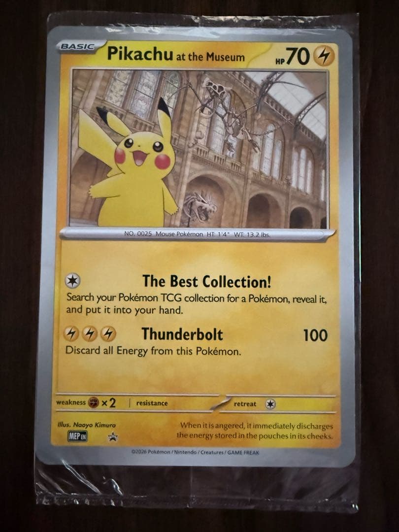 Pikachu at the Museum ピカチュウ ロンドン自然史博物館 - メルカリ