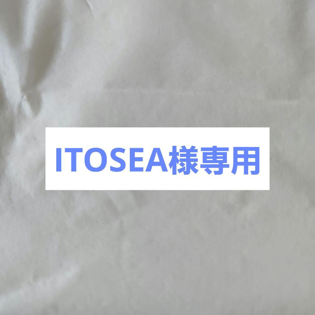 ITOSEAページ