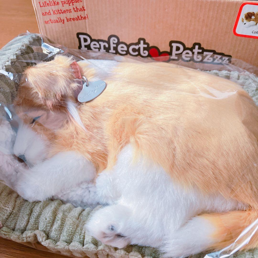新品】 ニニアンドキノ パーフェクトペット コリー 小型犬 リアル 動物