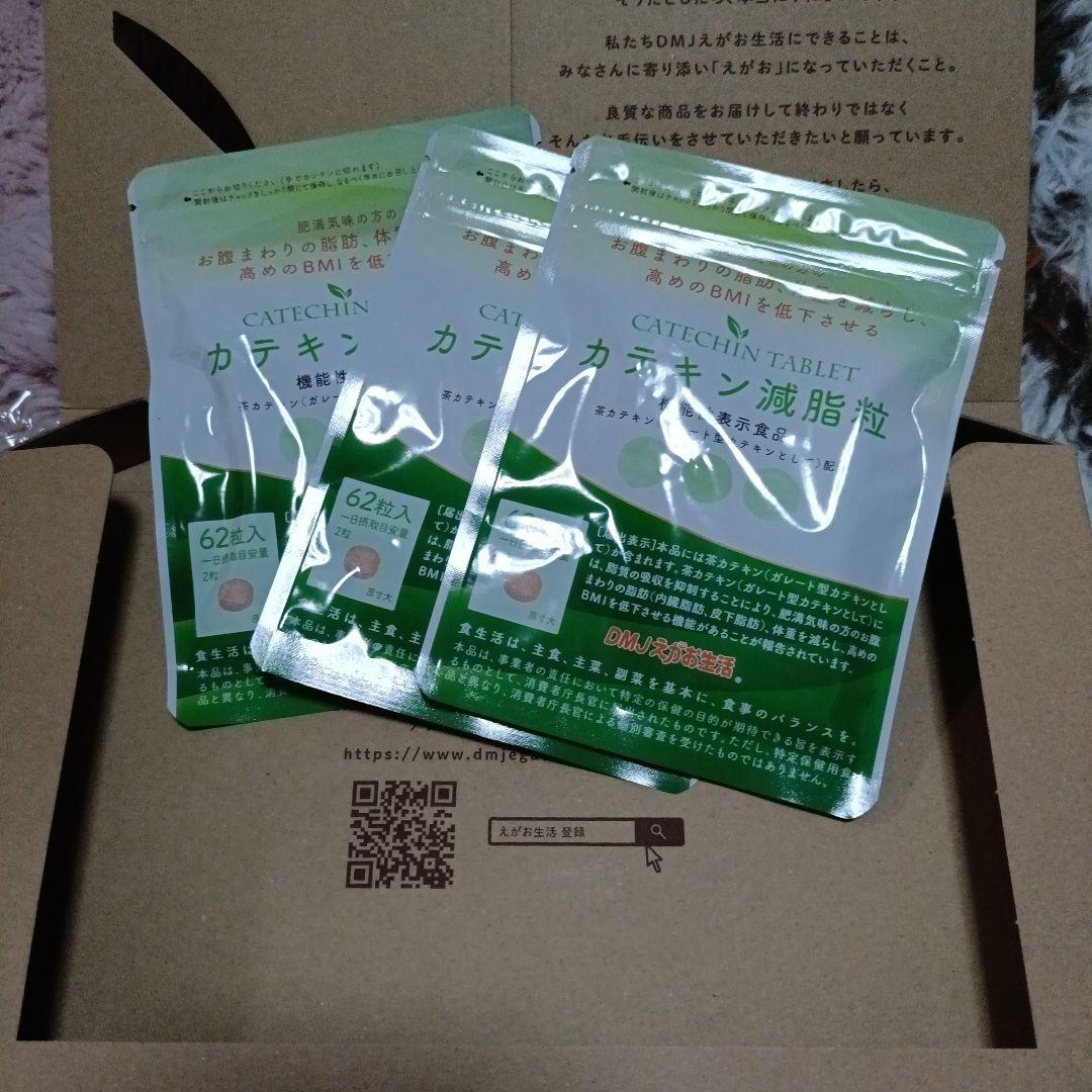 カテキン減脂粒　3袋（1袋あたり1ヶ月分62粒）
