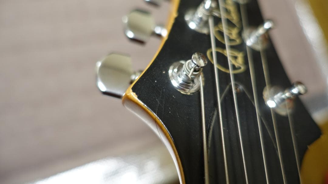 crowdさん専用 PRS CE22 Stop Tail - メルカリ