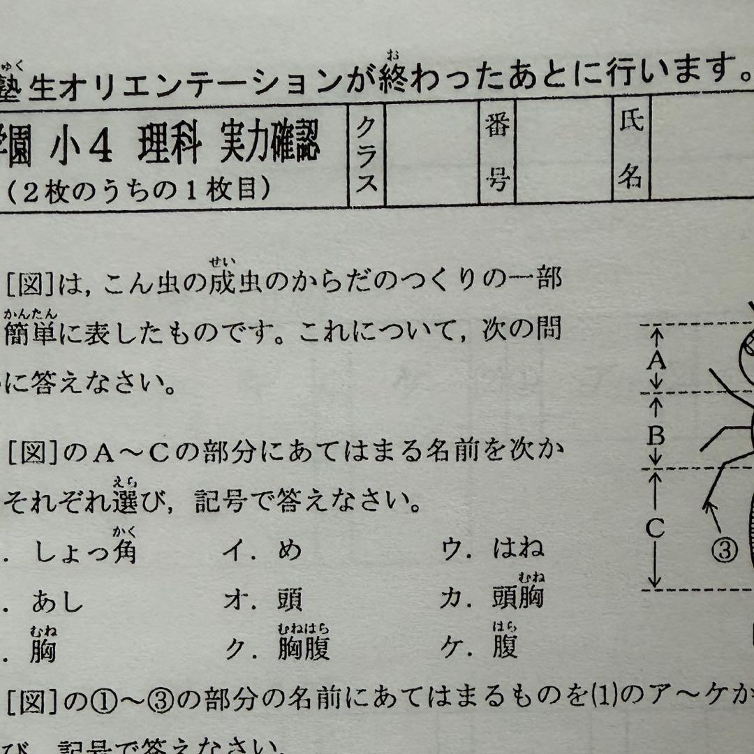 浜学園 復習テスト Vクラス 最新 小4 理科 算数 国語 3科目 即発送
