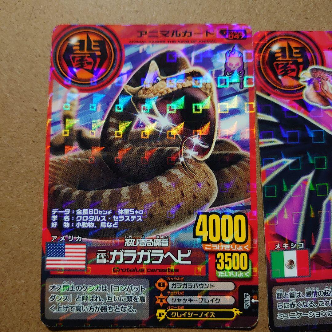 アニマルカイザー二代目、ド根性9種類11枚セット - メルカリ