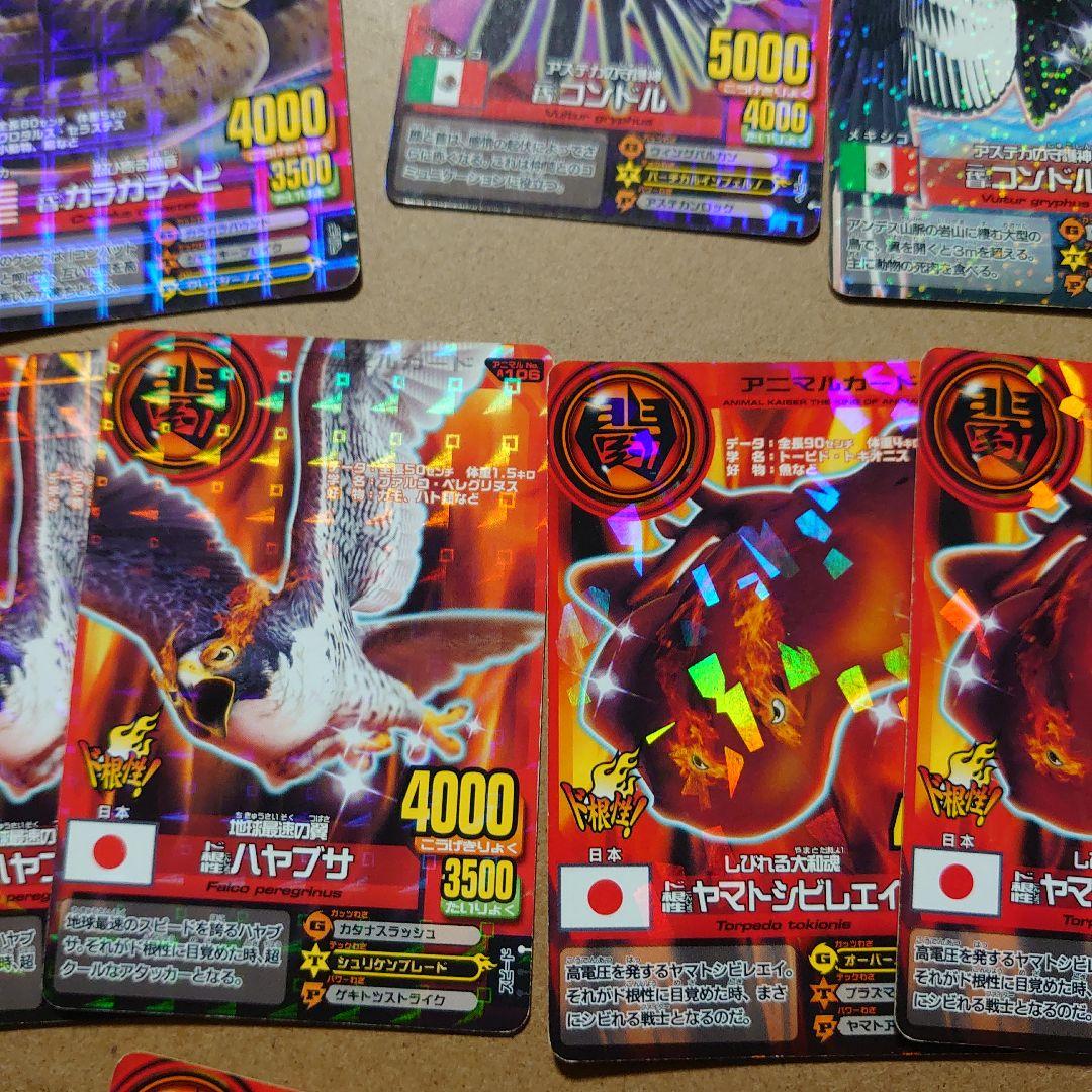 アニマルカイザー二代目、ド根性9種類11枚セット - メルカリ