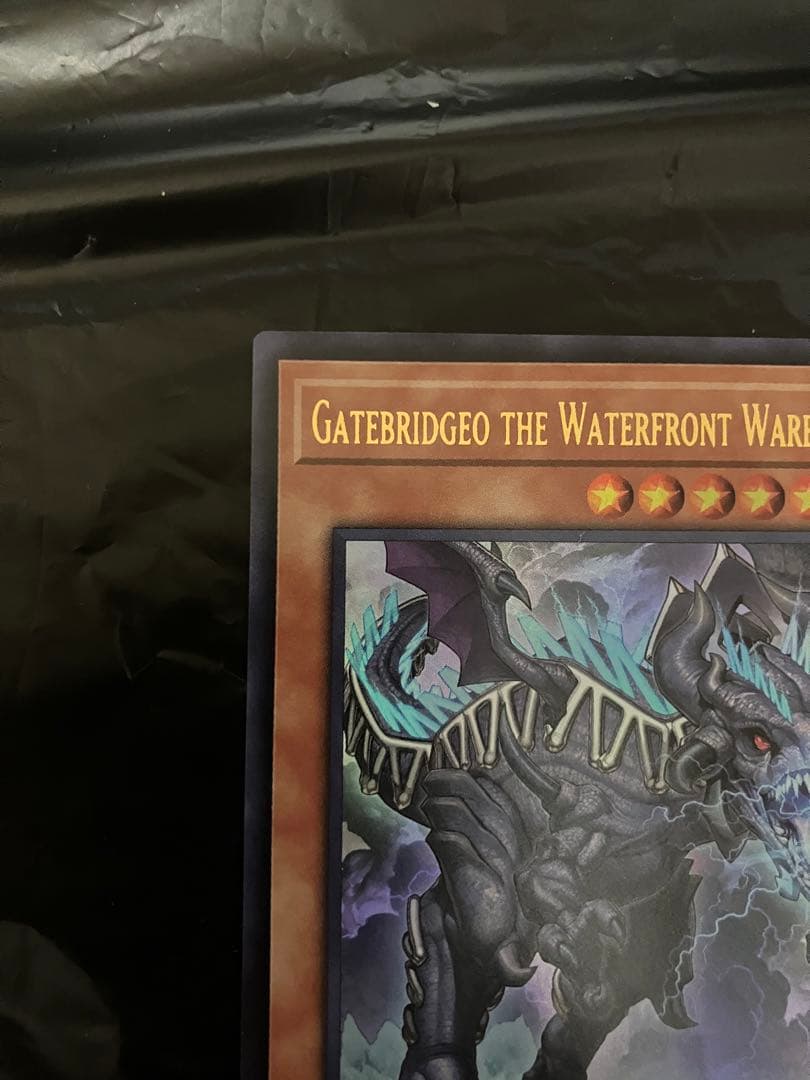 遊戯王 臨界竜ゲートブリジオ WCS2024 店舗予選 優勝プロモ 未開封