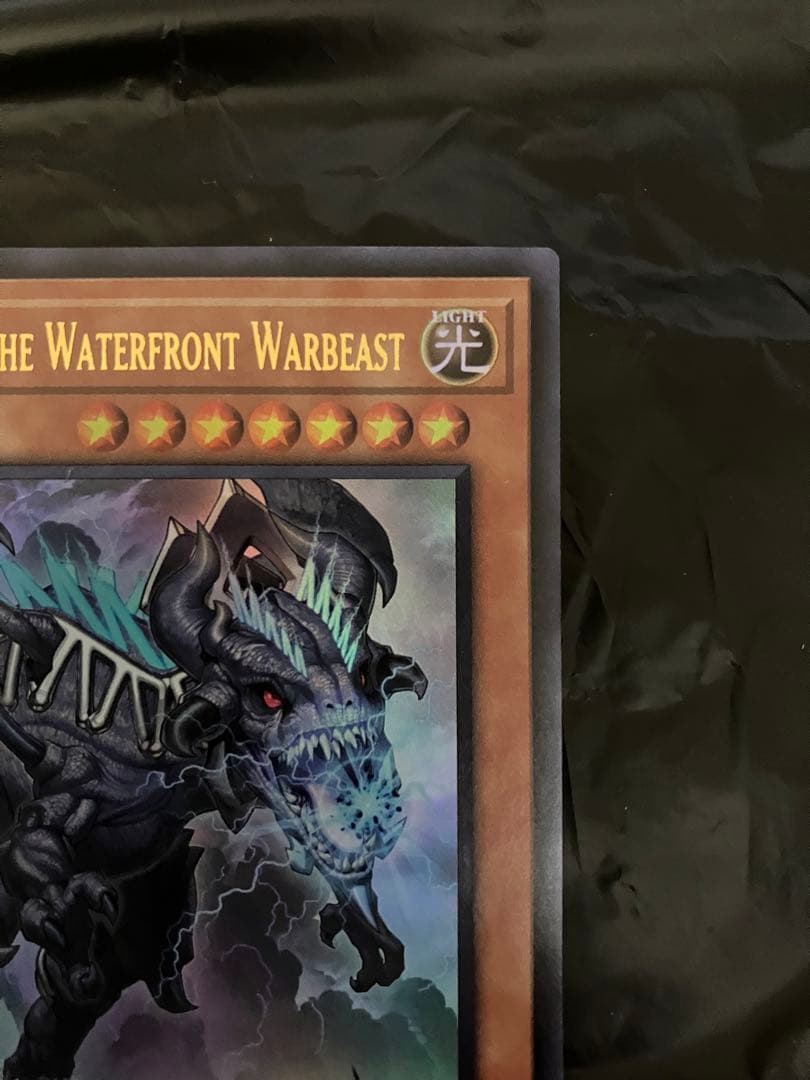 遊戯王 臨界竜ゲートブリジオ WCS2024 店舗予選 優勝プロモ 未開封