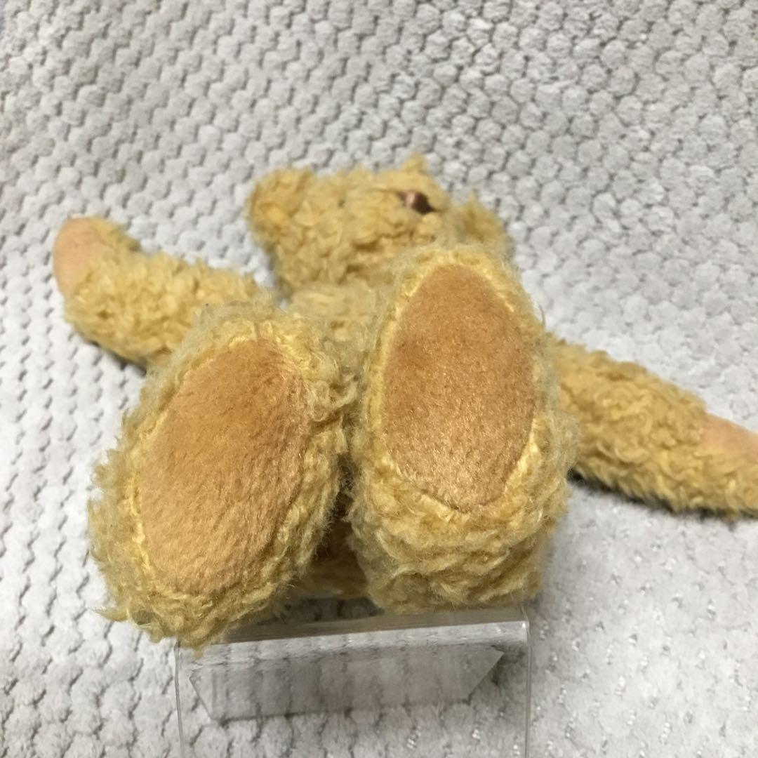 ノースアメリカンベア／north American bear ぬいぐるみ - メルカリ