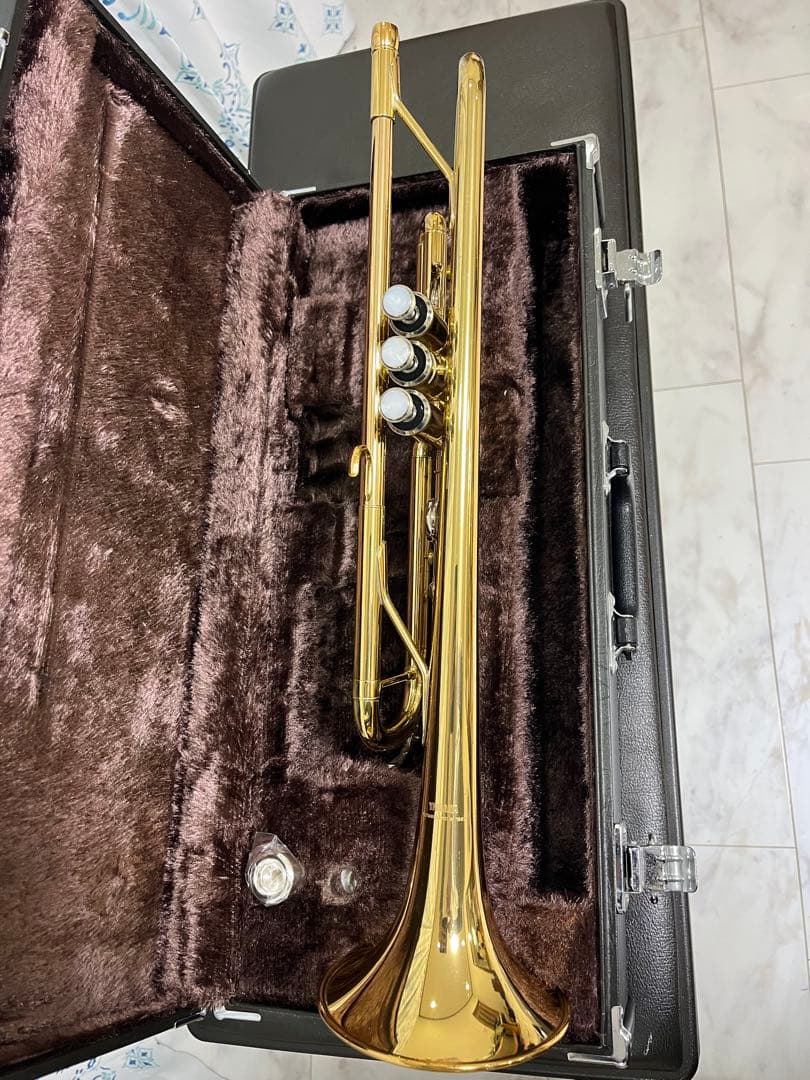 ゴールド トランペット 3バルブ ケース付き 楽天市場】bags バッグス EFTR M-GOLD トランペット ケース メタリック