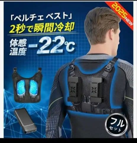 ペルチェベスト -22℃ 冷却機能付き バッテリー付き