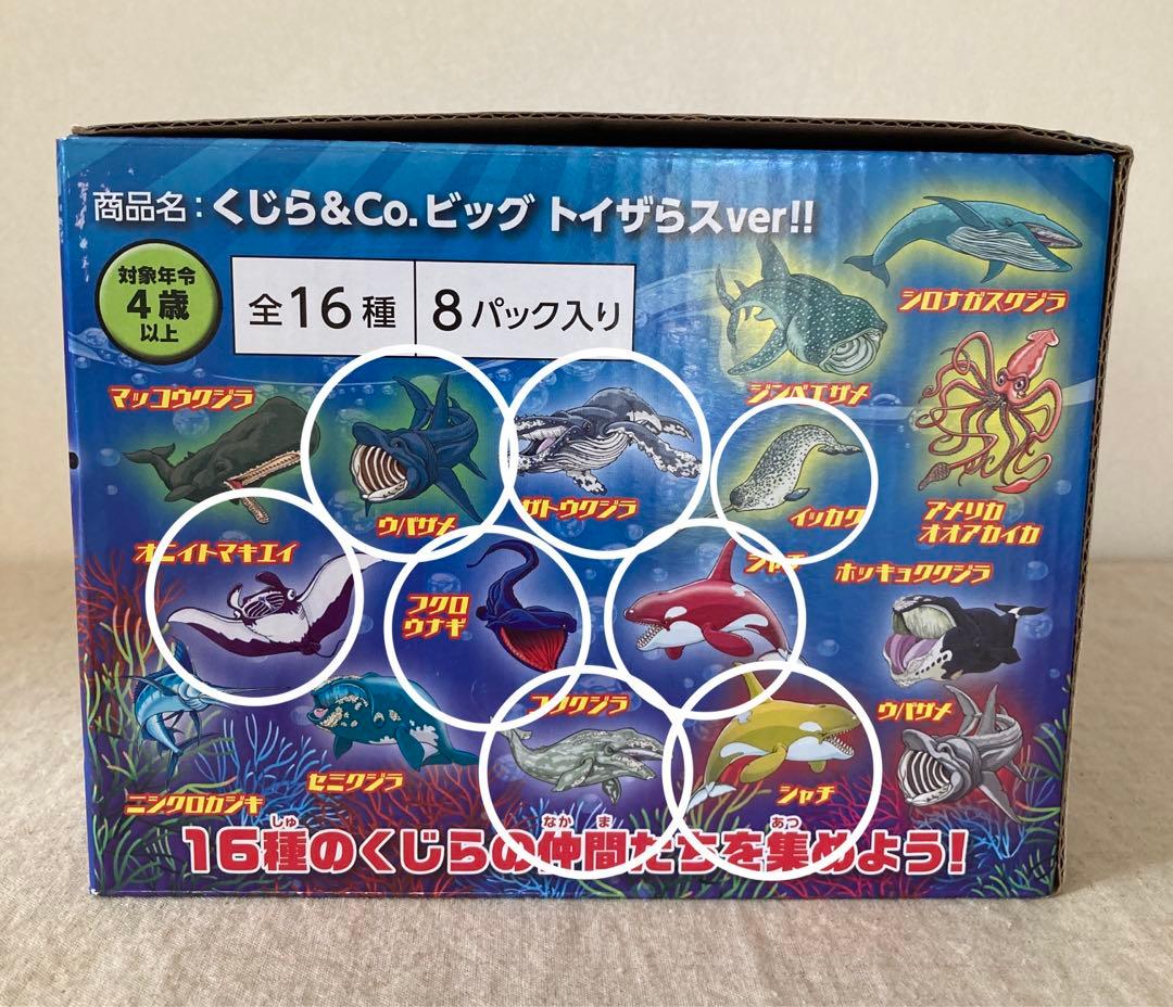 アンドコ くじら &co. ビッグ トイザらス バージョン 8種セット - メルカリ