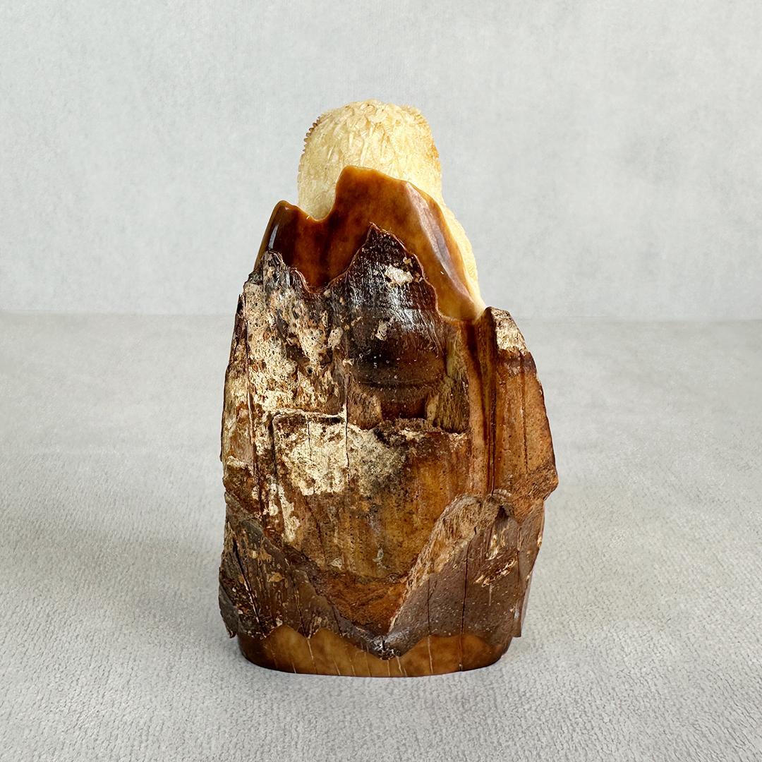 置根付 フクロウ 梟 セイウチ牙製 彫刻 ミ10