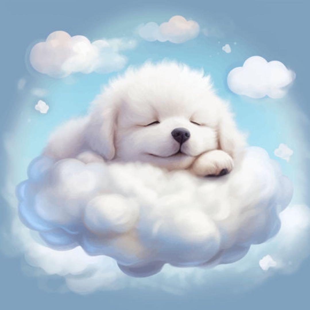 らぶしっく りょう クラファン リワード