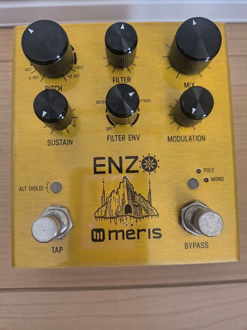 meris ENZO マルチボイス/ギターシンセ&ディレイ,コンプ,フィルター