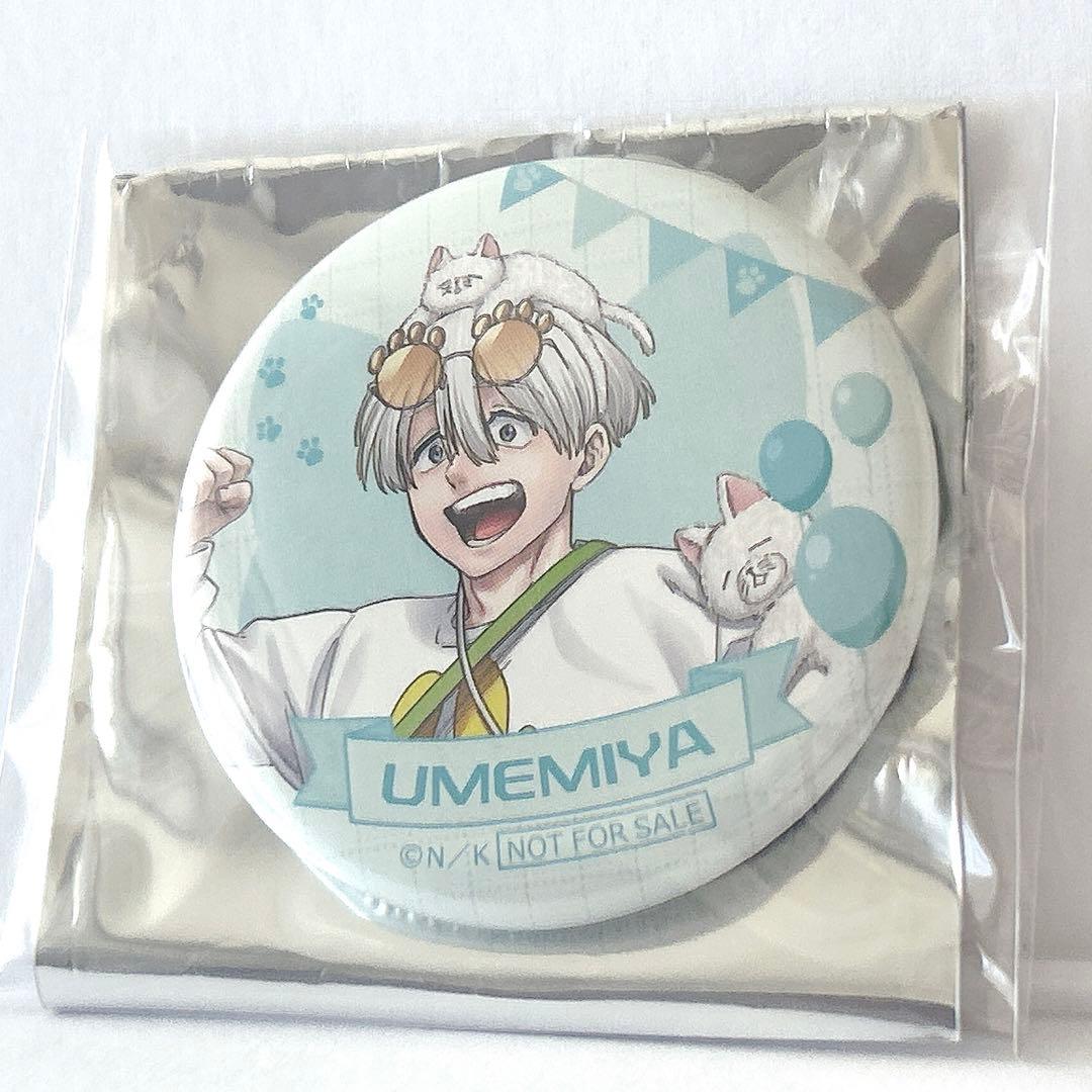 梅宮一 WIND BREAKER ナンジャ 缶バッジ ウィンブレ