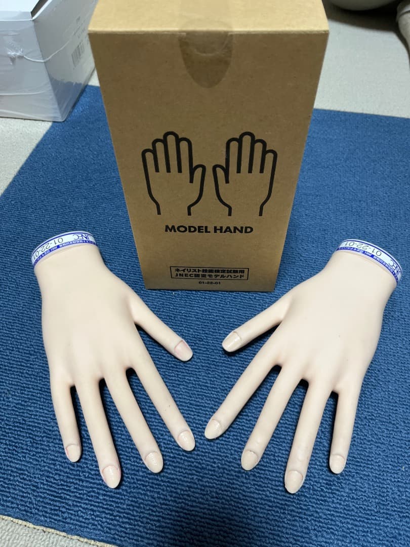 JNA認定ハンドモデル