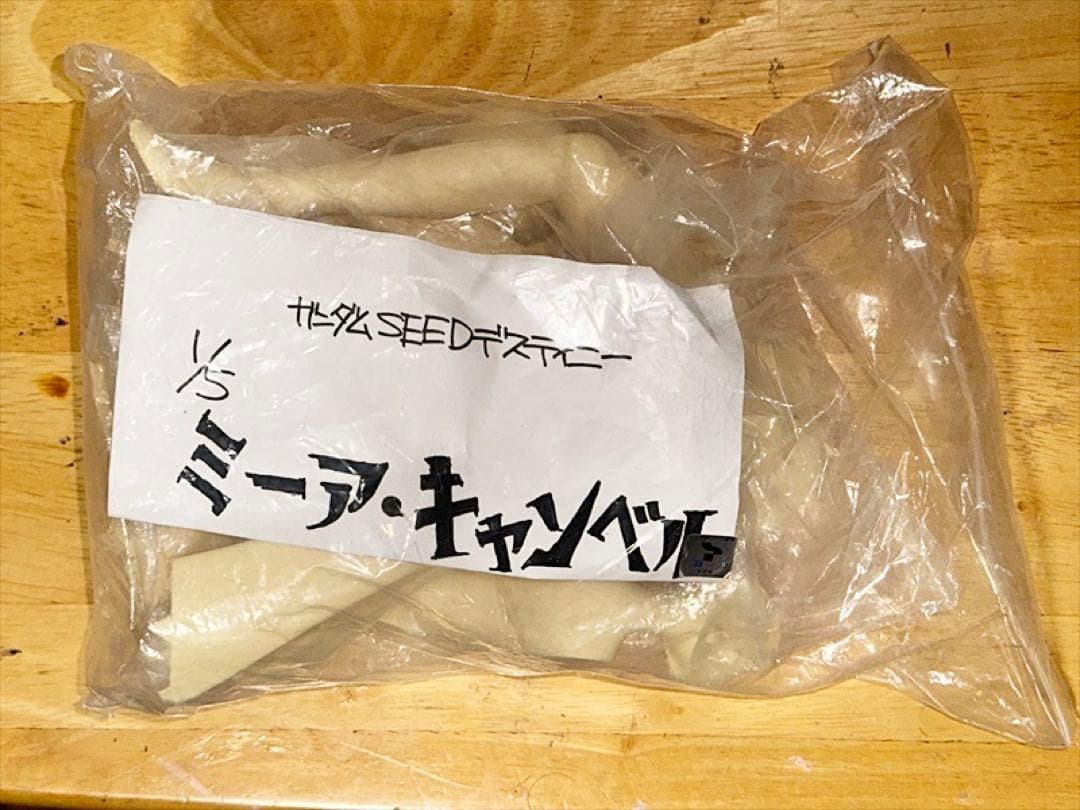 機動戦士ガンダムSEED DESTINY ミーア・キャンベル ガレージキット