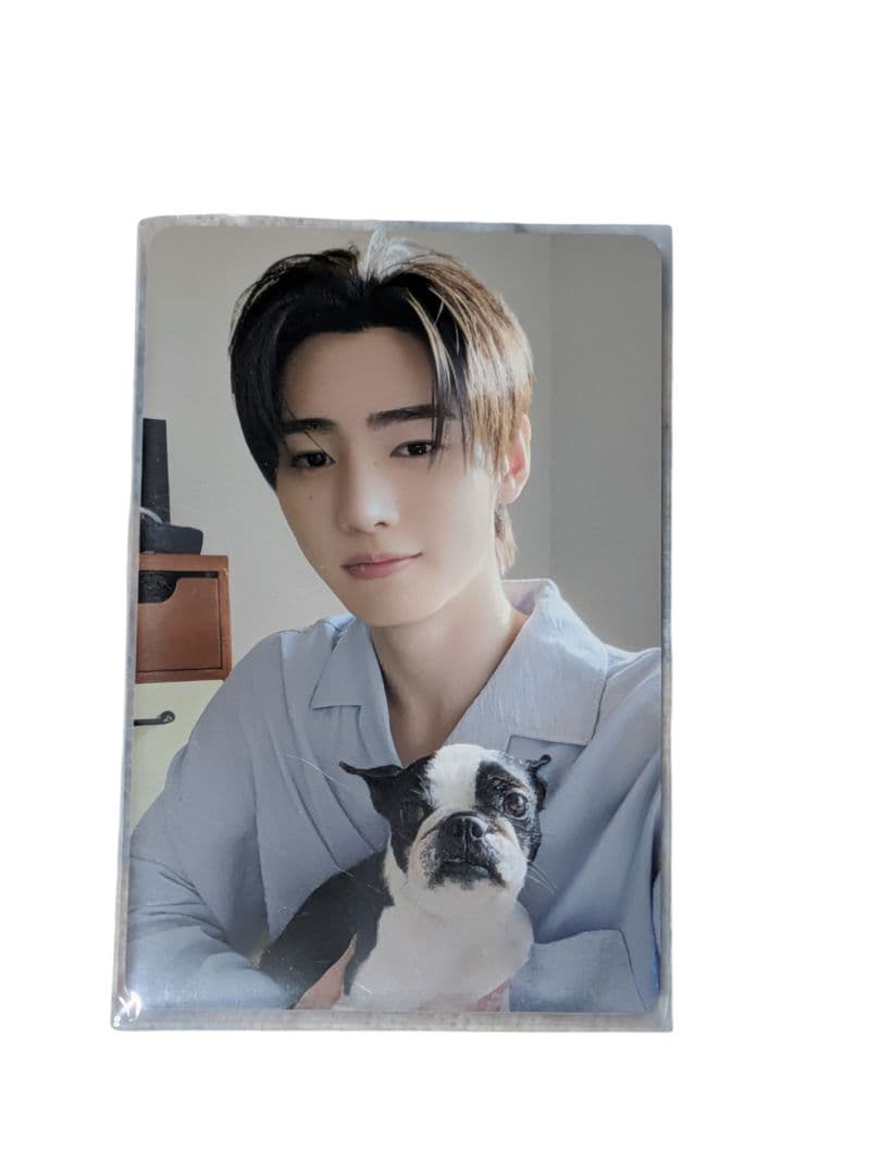 即購入️⭕️】ENHYPEN ソンフン アンケートトレカ 2025 - メルカリ