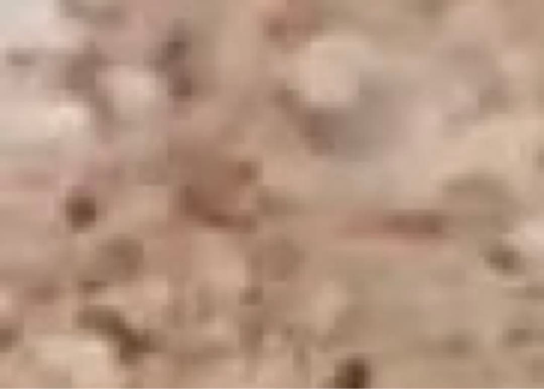 AMNESIA アムネシア シン アクリルスタンド アクスタ SHIN - メルカリ