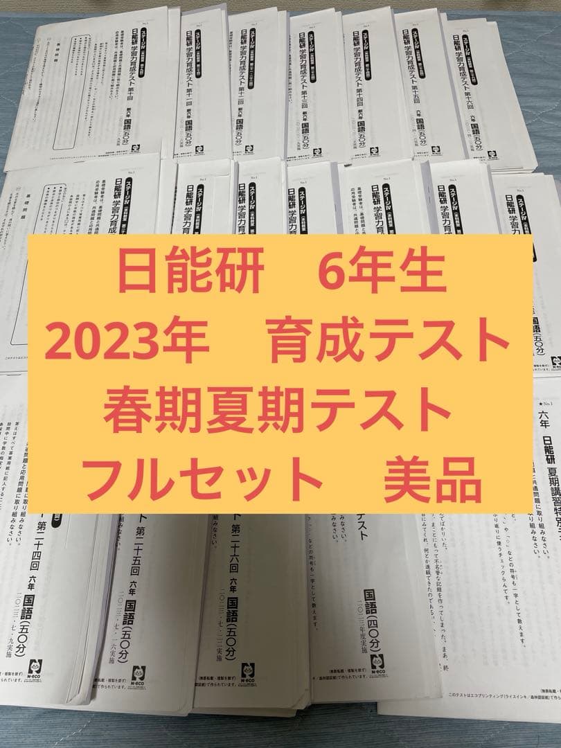 2023年　日能研　6年生　育成テスト　春期夏期講習テスト　前期　フルセット