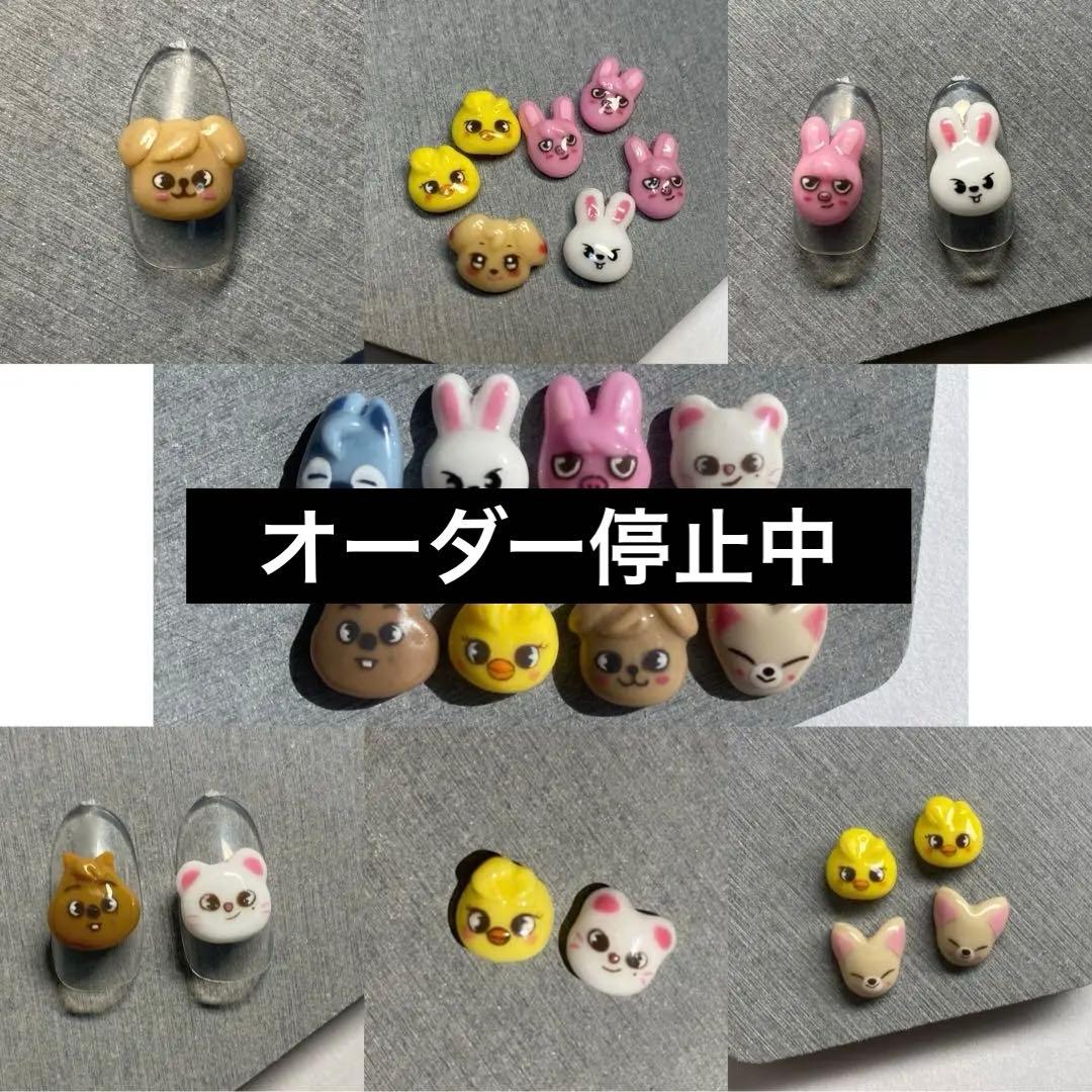 オーダー専用ページ★スキズネイルパーツ