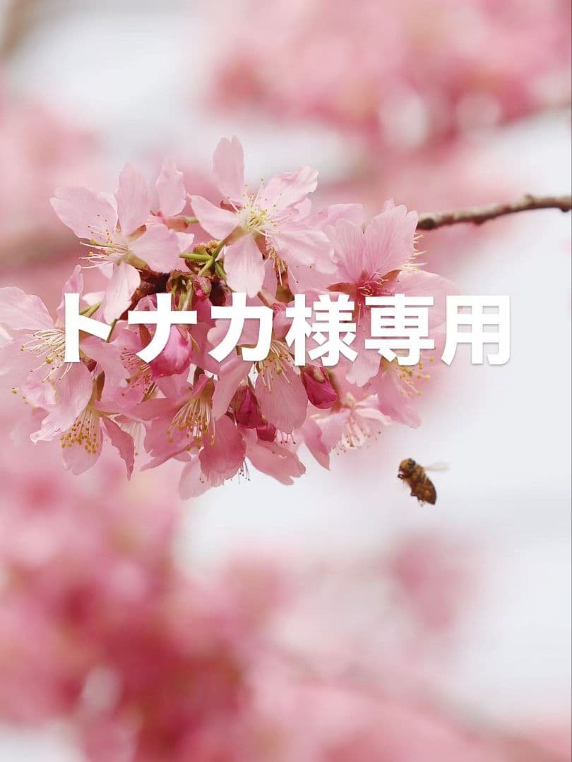 トナカ　XSサイズ