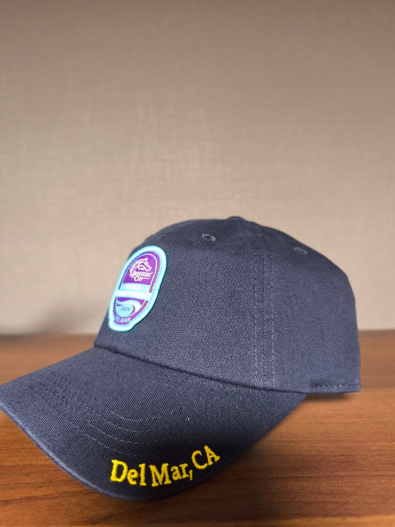 ブリーダーズカップ 2025 フォーエバーヤング キャップ 競馬 アメリカ