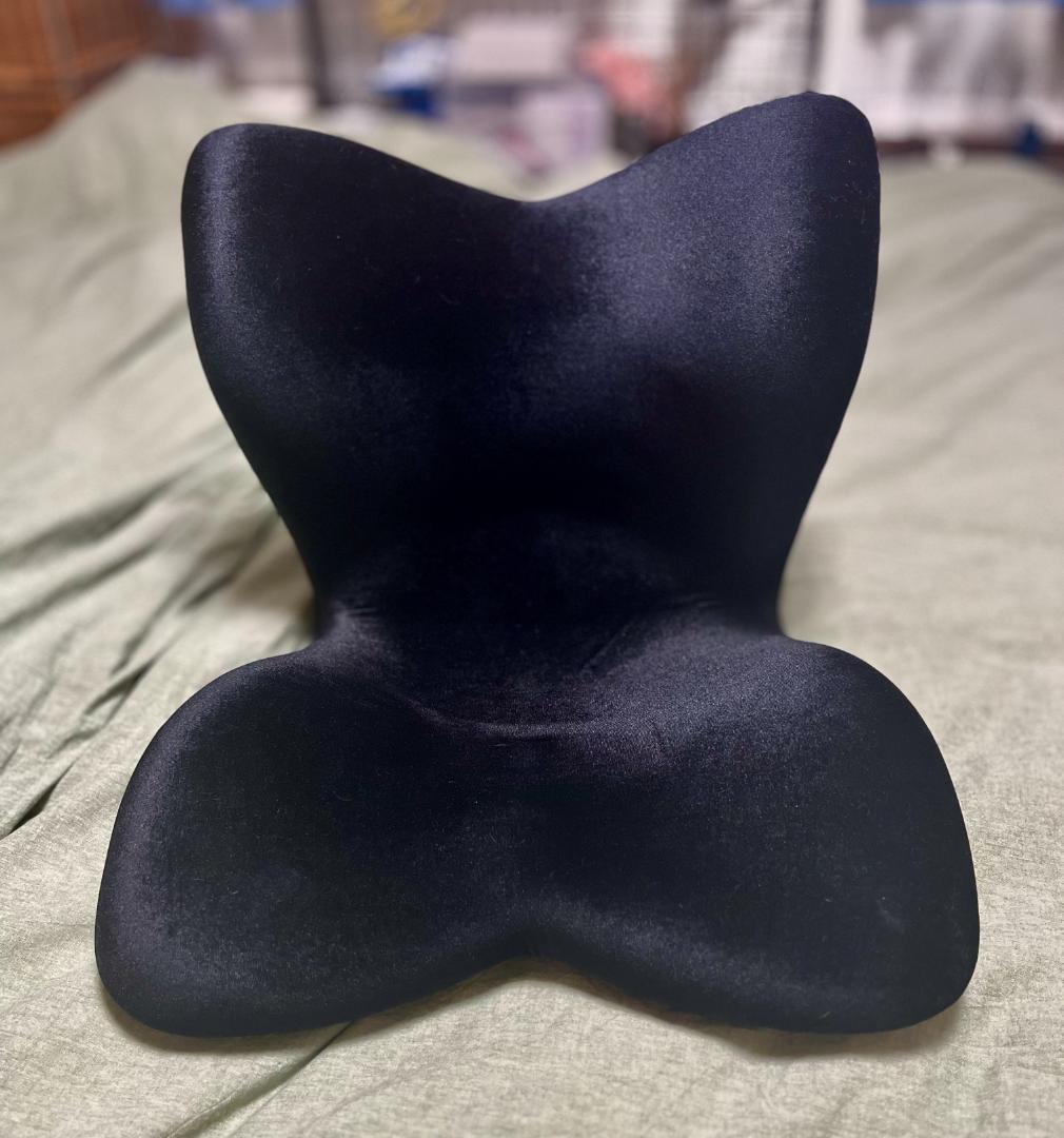 美品　MTG Style PREMIUM DX（ 骨盤矯正 サポートチェア）