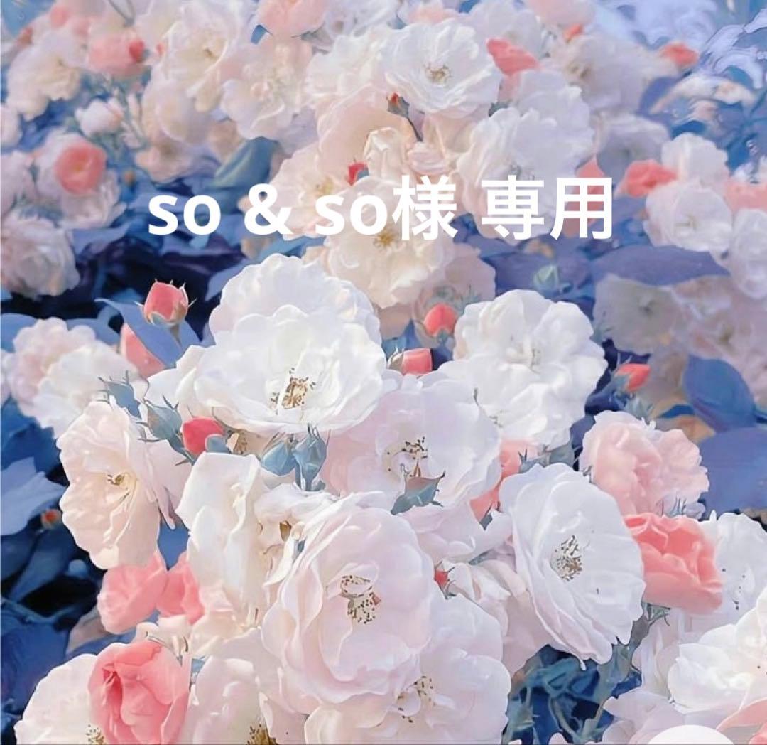 サルート D80 03G IV 日本の花嫁 婚礼衣装