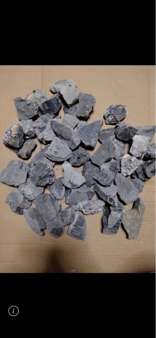 カーバイト6kgカーバイトランプ 手提魚取用　アンティーク照明　キャンプ　夜釣り 昭和レトロ 1960年代 富士灯器 カーバイトランプ 3号型 手提魚取用 B4